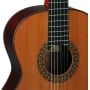 PEREZ 670 Cedar - классическая гитара