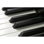 Цифровое пианино Kawai CA67R