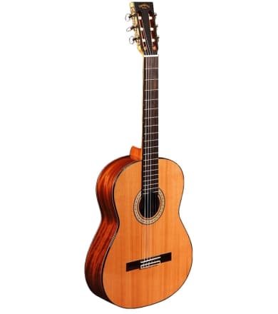 Гитара Sigma CM-6