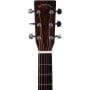 Гитара Sigma DM-1ST-BR