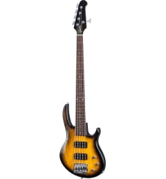 Бас-гитара Gibson EB Bass 5 String T 2017 Satin Vintage Sunburst