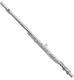 Флейта Roy Benson FL-602RE