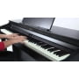 Цифровое пианино Roland HP504-CB