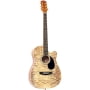Акустическая гитара Colombo LF-3800CT/N