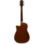 Акустическая гитара Colombo LF-3800CT/SB
