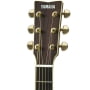 Электроакустическая гитара Yamaha LL6BL