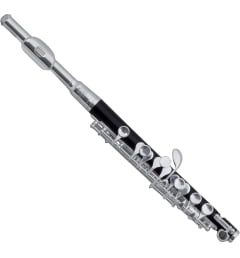 Флейта-пикколо Roy Benson PC-502