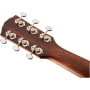 Акустическая гитара Fender PM-1 Dreadnought All Mahogany