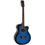 Акустическая гитара Suzuki SDG-6BLS