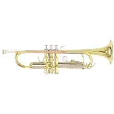 Труба Roy Benson TR-202  труба,