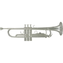 Труба Roy Benson TR-202S  Bb