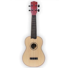 Электрогитара Terris TTPS-2NA
