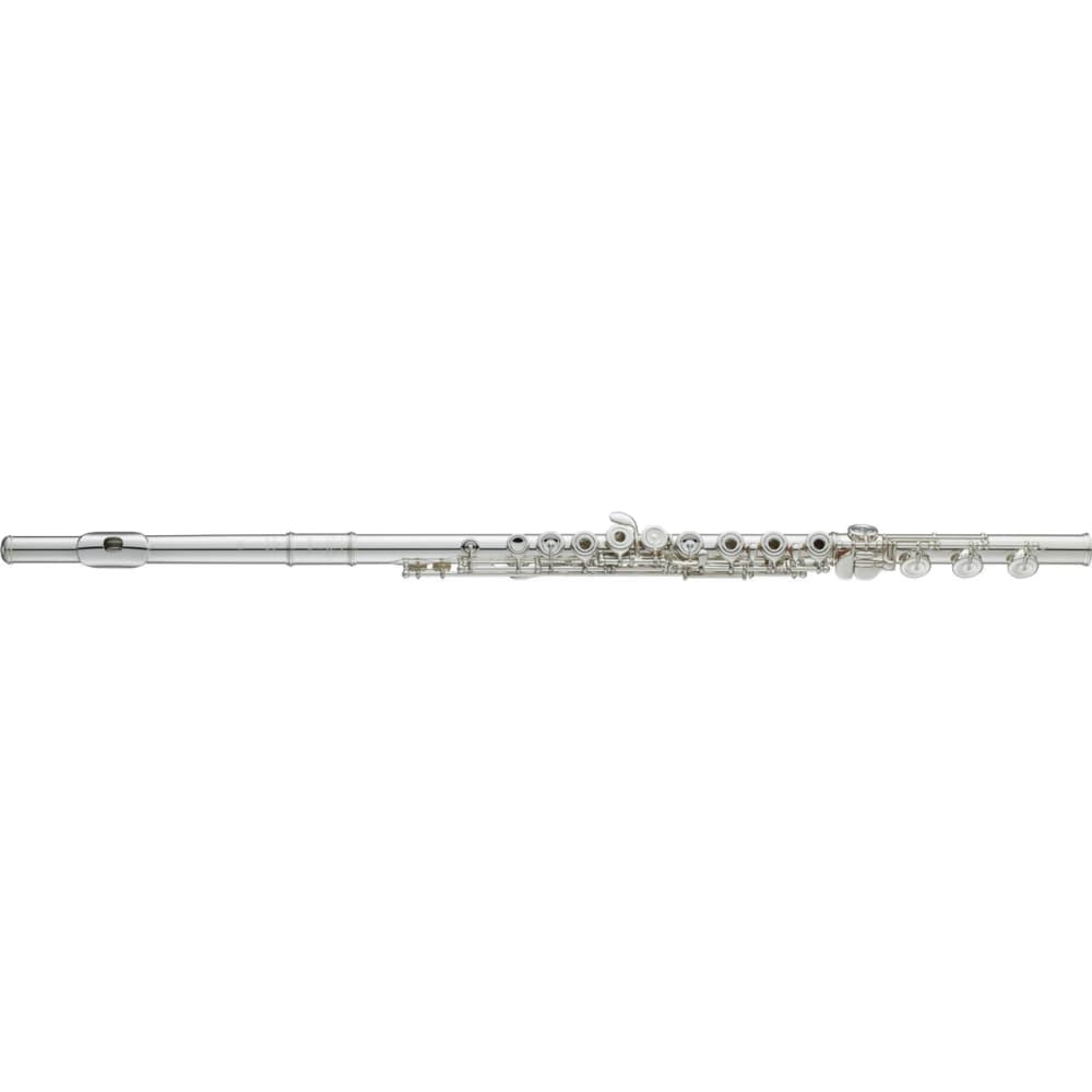 2 flutes. Roy Benson FL-402r2 флейта. Yamaha флейта Yamaha YFL-382h. Yamaha флейта Yamaha YFL-211. Yamaha флейта Yamaha YFL-481.